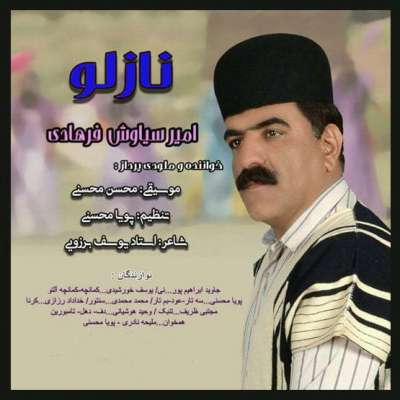 امیرسیاوش فرهادی نازلو